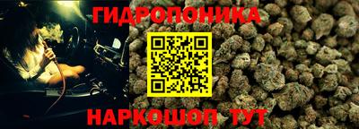 прущая мука Гай