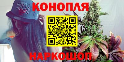 прущая мука Гай