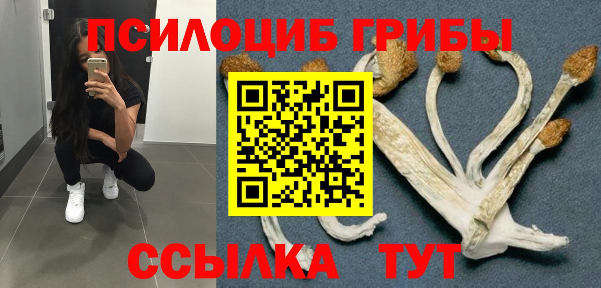 даркнет сайт  Вход с VPN  Кисловодск  Галлюциногенные грибы мухоморы 