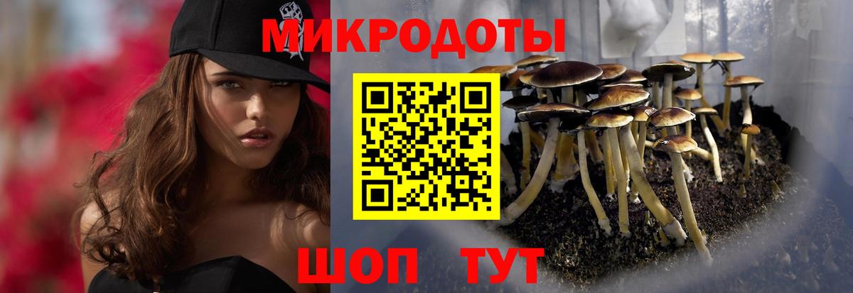 Псилоцибиновые грибы мицелий Кисловодск