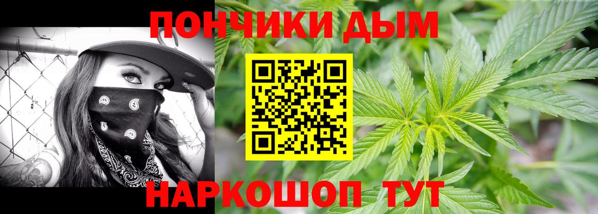 Каннабис планчик  Вход с VPN  Бошки Шишки THC 21%  МАРИХУАНА семена  Кисловодск 